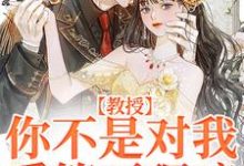 教授,你不是对我爱答不理嘛裴宴清苏晚宁,教授,你不是对我爱答不理嘛章节在线阅读-美文小说