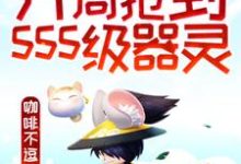 免费看灵气复苏:开局抢到sss级器灵小说的网站有哪些?-美文小说