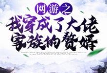 林度宁风雅为主角的小说好看吗?免费读网游之我穿成了大佬家族的赘婿-美文小说