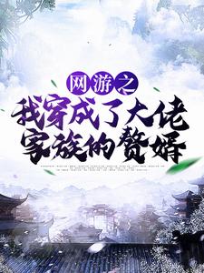 林度宁风雅为主角的小说好看吗？免费读网游之我穿成了大佬家族的赘婿