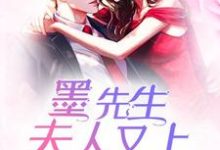 主角 孟瑶墨淮小说完结版在线阅读,墨先生,夫人又上热门了免费看-美文小说