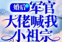 婚后,军官大佬喊我小祖宗小说的免费阅读版本在哪里可以找到?-美文小说