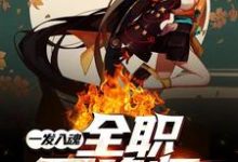 求一发入魂:全职召唤师小说的全文免费阅读链接-美文小说