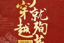 在线寻找司夜云轩辕靖的小说,刚穿越就殉葬?闹呢!免费阅读-美文小说