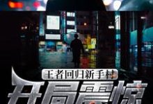 《王者回归新手村,开局震惊网游界》全集免费在线阅读(林凡陈伟)-美文小说