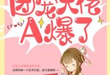 阮宁柳澈小说《农家傻女:团宠大佬A爆了》在线阅读-美文小说