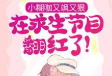 求程灵江起澜小说免费资源-美文小说