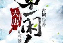 哪里能找到大唐第一闲人小说的最新更新和免费章节？-美文小说