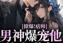 撩爆！痞帅男神爆宠他的小甜妻主角靳酌秦迎夏小说完结版章节在线阅读-美文小说