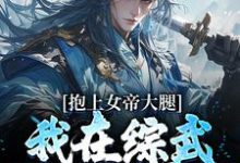 抱上女帝大腿，我在综武世界杀疯了小说最新更新在哪里？免费在线看-美文小说
