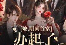 她，阴间首富，办起了托梦业务最新章节，她，阴间首富，办起了托梦业务章节在线阅读-美文小说