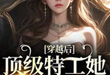 风茗染景奕珩的完整故事在哪里?读穿越后,顶级特工她下山复仇小说-美文小说