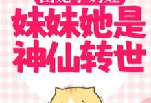 团宠小奶娃:妹妹她是神仙转世 阿宝赵恒小说免费阅读-美文小说