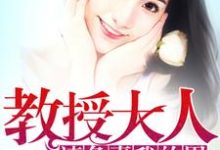 教授大人请负责我的胃小说全文阅读需要付费吗？寻找免费资源-美文小说