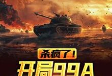 小说《杀疯了!开局99A重坦驰骋中原》章节免费阅读-美文小说