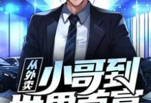 已完结小说《从外卖小哥到世界首富》章节免费阅读-美文小说