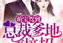 萌宝驾到:总裁爹地请接招!小说最新章节在哪里可以读到?-美文小说