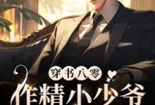 小说《穿书八零,作精小少爷赖上大反派(耽美)》章节免费阅读-美文小说