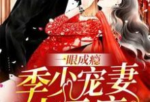 一眼成瘾:季少宠妻太无度小说的无弹窗阅读体验,寻找免费阅读网站-美文小说