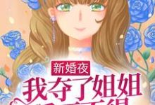 在线寻找姜早早陆迟的小说,新婚夜,我夺了姐姐爱而不得的男人免费阅读-美文小说