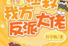快穿:保护我方反派大佬小说最新更新在哪里?免费在线看-美文小说