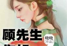 顾先生,你好最新章节,顾先生,你好章节在线阅读-美文小说