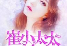 崔小太太要翻身宋阿暖崔晟临顾晴张乐芙，崔小太太要翻身最新章节-美文小说