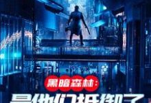 主角叫白书青小说黑暗森林：是他们抵御了外族入侵章节免费阅读-美文小说