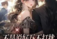 不是说好互不打扰,先生你越轨了免费阅读,不是说好互不打扰,先生你越轨了章节在线阅读-美文小说