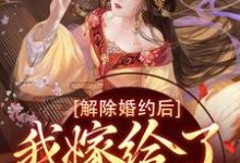 解除婚约后,我嫁给了东宫之主小说,解除婚约后,我嫁给了东宫之主最新章节-美文小说