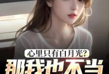 完结版《心里只有白月光？那我也不当你舔狗了》章节目录在线阅读-美文小说
