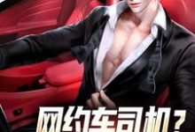 江安韩相宜小说在线章节免费阅读(网约车司机?我可是马路判官无弹窗无删减)-美文小说