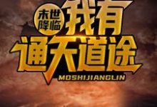 末世降临,我有通天道途小说完结版章节免费阅读-美文小说