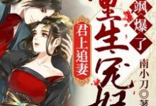 君上追妻:重生宠妃飒爆了小说的无弹窗阅读体验,寻找免费阅读网站-美文小说