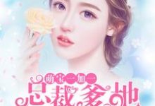 苏北傅云商苏清尘苏亦染小说《萌宝一加一：总裁爹地超厉害》在线阅读-美文小说