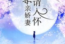 一宠成瘾:亲亲娇妻请入怀小说有没有完结版在线?-美文小说