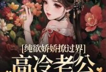 男女主人公司软沈欲野小说纯欲娇娇撩过界,高冷老公一吻沦陷章节免费阅读-美文小说