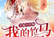 学霸小青梅:我的竹马是巨星主角秦子苏程漾小说完结版章节在线阅读-美文小说