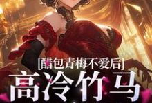 男女主人公书诺喻也小说醋包青梅不爱后,高冷竹马跪着哄章节免费阅读-美文小说