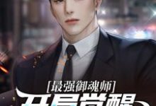 免费看最强御魂师,开局觉醒SSS级武魂小说的网站有哪些?-美文小说