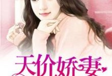 求一胎二宝:天价娇妻哪里逃小说的全文免费阅读链接-美文小说