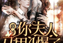 爵爷,你夫人马甲A爆了(苏黎陆承爵宁宁)在线免费阅读-美文小说