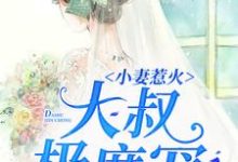 完结版《小妻惹火:大叔极度宠》在线免费阅读-美文小说