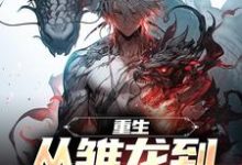 重生:从雏龙到寰宇之王季临小说大结局免费试读-美文小说
