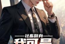 社畜翻身:我可是顶级权贵小说的所有章节都能在哪里免费读到?-美文小说