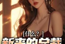 什么?新来的总裁是我未婚妻最新章节,什么?新来的总裁是我未婚妻免费阅读-美文小说