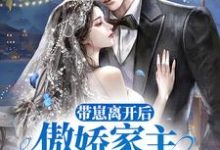 带崽离开后,傲娇家主追妻火葬场小说有没有完结版在线?-美文小说