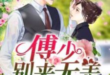 季南歌傅沉渊江泽安的故事在哪本书里?免费阅读傅少,别来无恙-美文小说