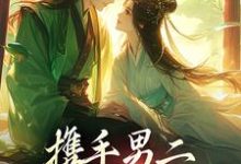 完结版《携手男二，我们驰骋官场》章节阅读-美文小说
