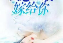 我想盛装嫁给你苏言陆凌琛陈萱萱,我想盛装嫁给你章节在线阅读-美文小说